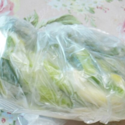 |*･ω･)ﾉ こんばんわぁ☆長葱いっぱい貰ったの～（*´∀｀)♪
お鍋の季節なので長く斜め削ぎ切りと短くで冷凍だよ❤葱買うと高いからホントこれ助かる❤＾＾❤